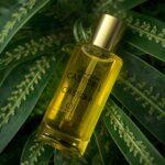 Best castor oil benefits for skin and hair 2026 guide cover.